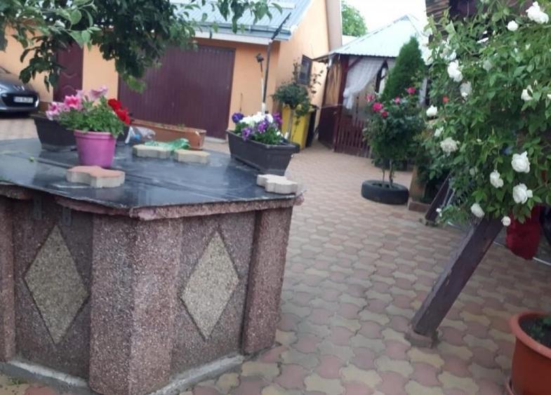 Casa / Vila ( P + E + Pod ) Zona Mitocul Dragomirnei - 8