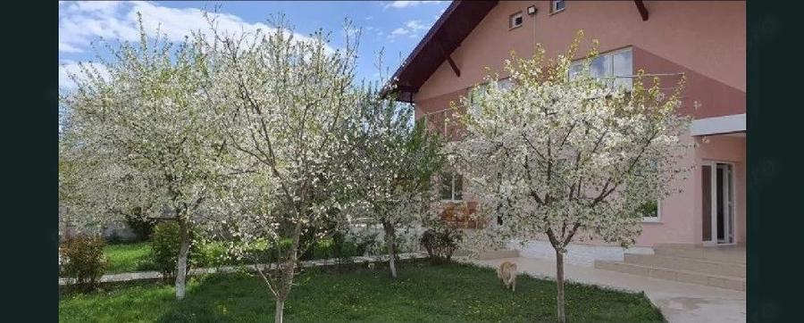Casa cu 5 camere 264mp utili Silistea Snagovului - 1