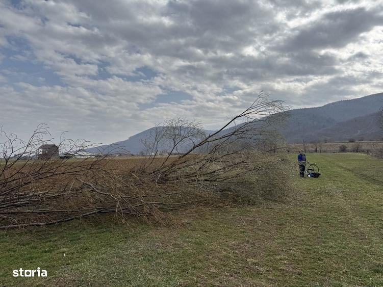 Teren de 3310 mp cu acces facil - 4