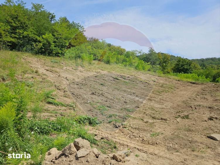 Teren intravilan pentru casa din doua parcele a cate 800mp fiecare - 1