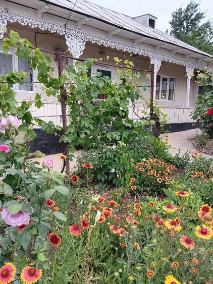 Vand casa locuibila comuna Suceveni Jud Gala?i - 4