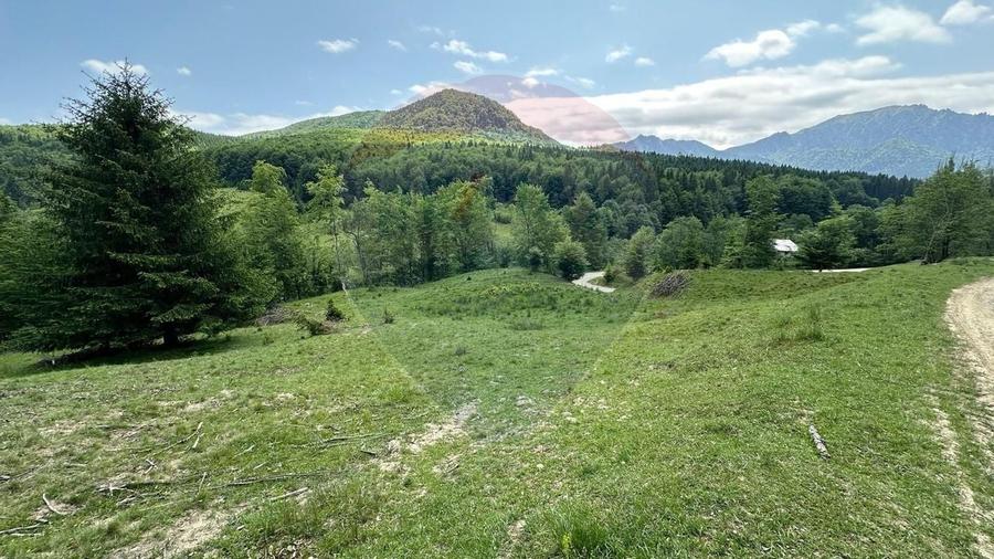 Teren 8500 mp, Valea Dalghiului - Dalghiu - vedere catre Ciucas - 12