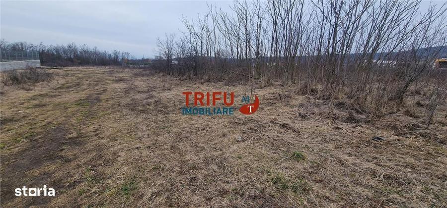 Teren pentru casa in zona Podei 1091mp - 9