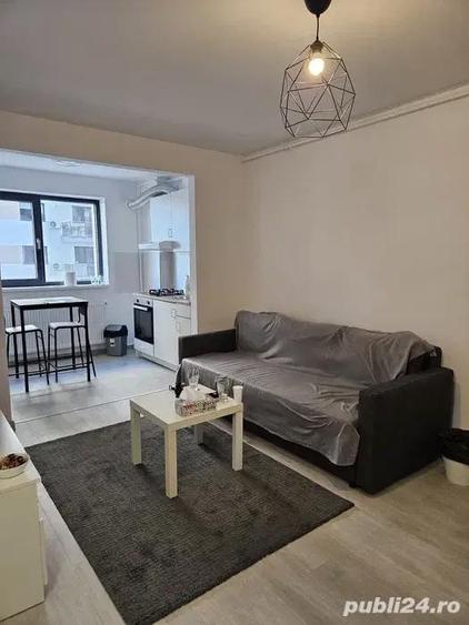 inchiriez apartament cu 2 camere Theodor Pallady,Hils Brauner - 4