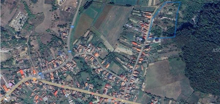 Domeniu de 13.500 mp: potential investitie  fabrica de caramida,Viforoasa,Mures