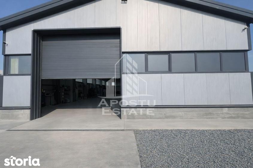Hala de inchiriat Sacalaz, curte generoasa, show-room, service auto - 4