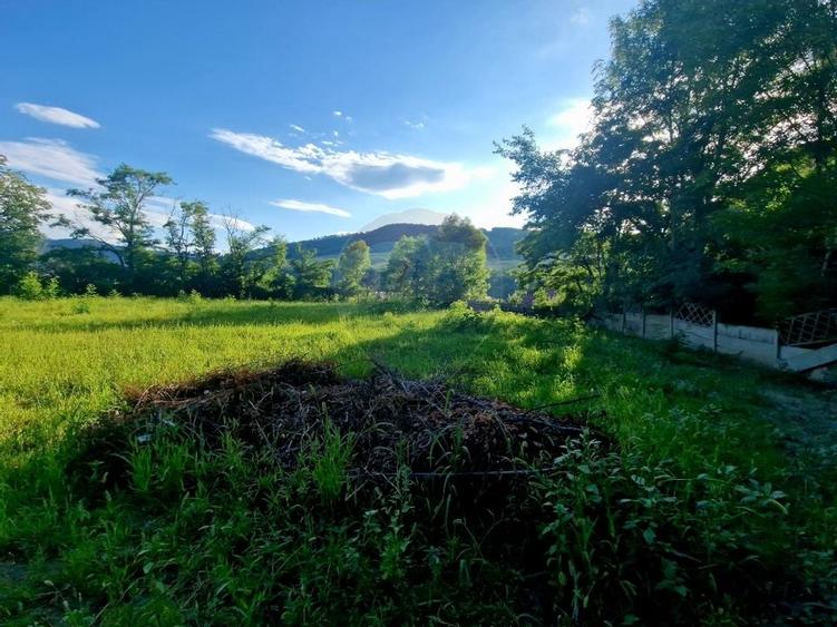 Teren 1,749mp Piatra-Neamt / Strada Zambilelor - 6