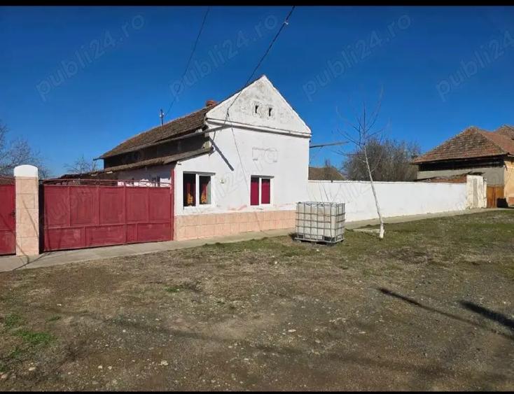 Vand casa Satchinez - 3