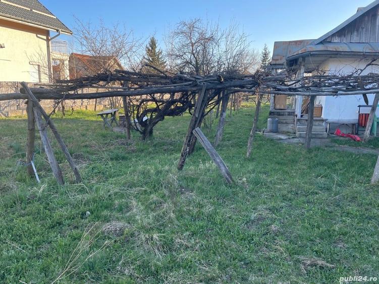 Teren+Casu?a rustica la poalele Ceta?ii Neam?ului - 8