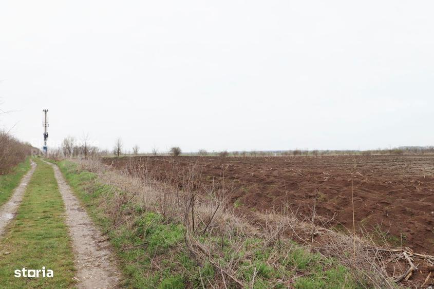 Teren 4000 mp langa Padurea Petresti | Investitie dezvoltare | Corbean - 3