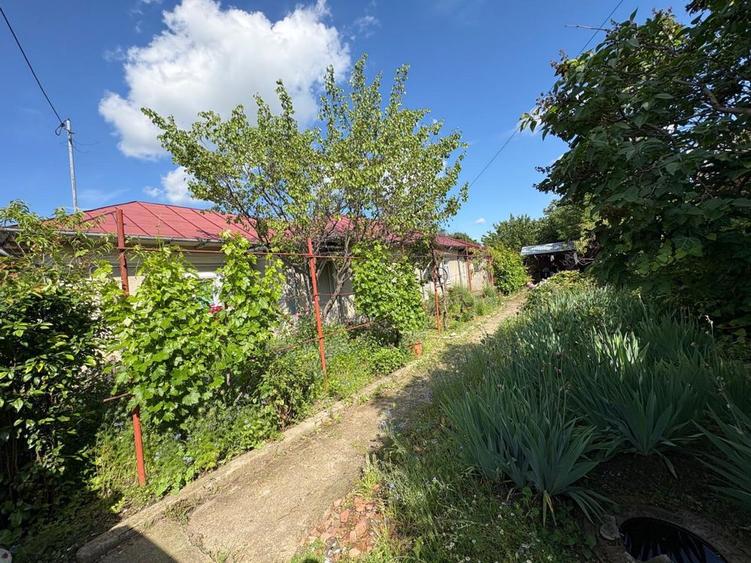 Casa de vanzare Alexandria - 5