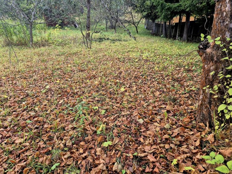 Casa de vacanta Timisu de Sus/Brasov/Oportunitate investitie - 17