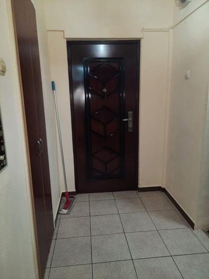 Lacul Tei, stradal, aproape Parcul Circului - 3