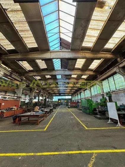 Vaslui, hale si birouri de vanzare - 6