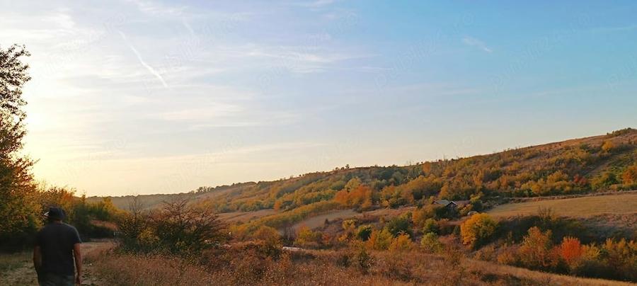 Teren de 1500 mp, în Bucovăț