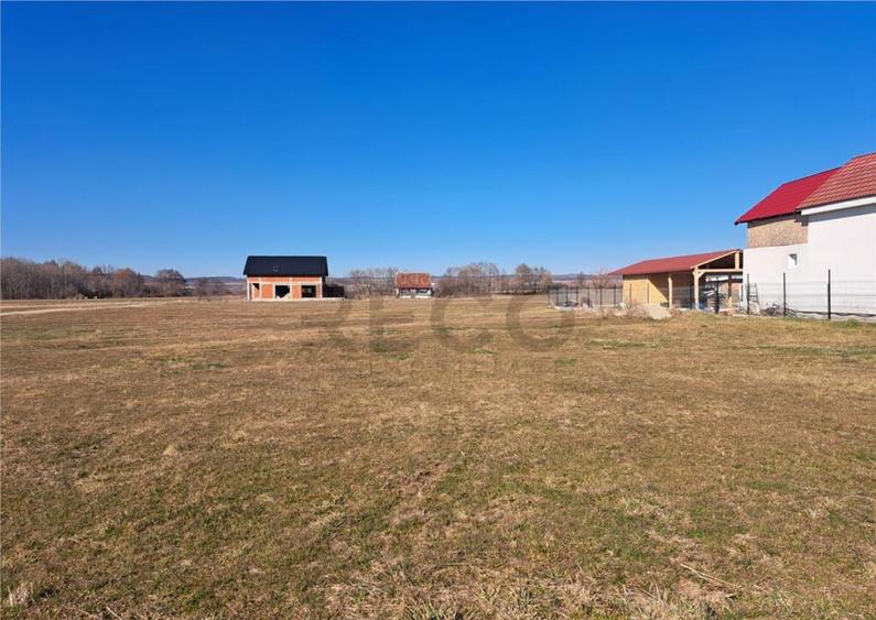 RECO teren intravilan Sabolciu - 2