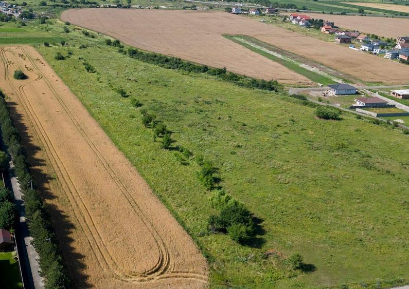 Loc de casa in Bujac - 3