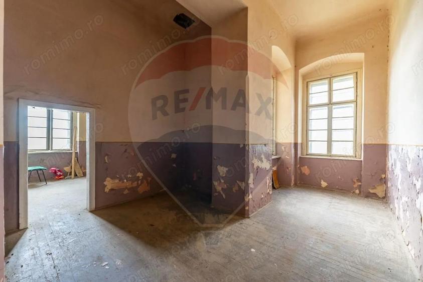 Conac aristocratic secolul XIX , domeniu 2,5 hectare Pauli?, Arad - 16