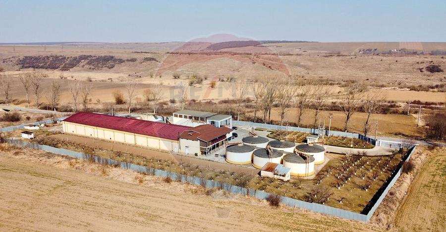 Crama din Buciumeni Afacere la cheie - 17