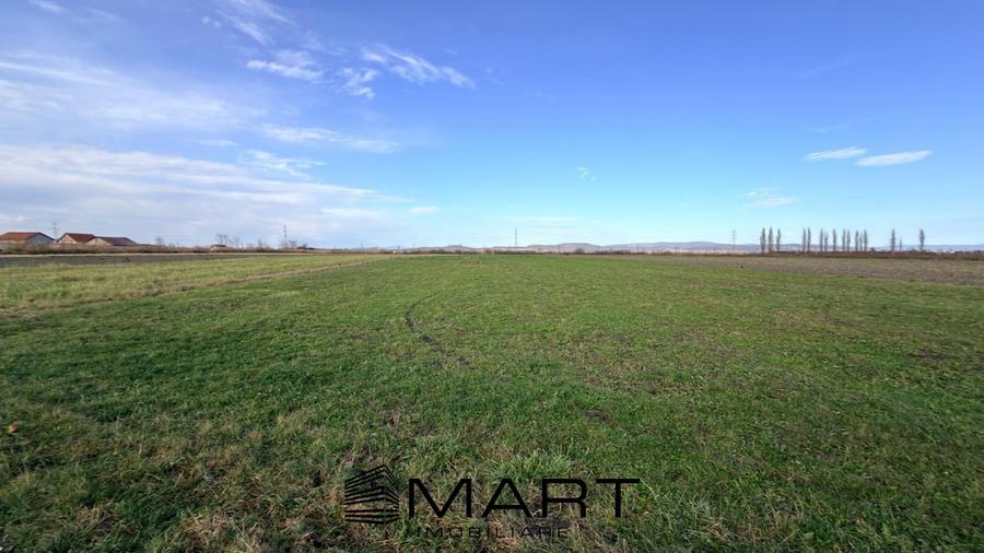 Teren Extravilan 15.000 mp Prejmer - 4