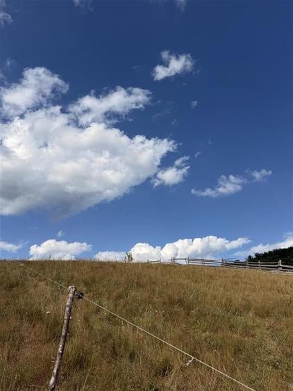 Reco, Teren Rosia - 4