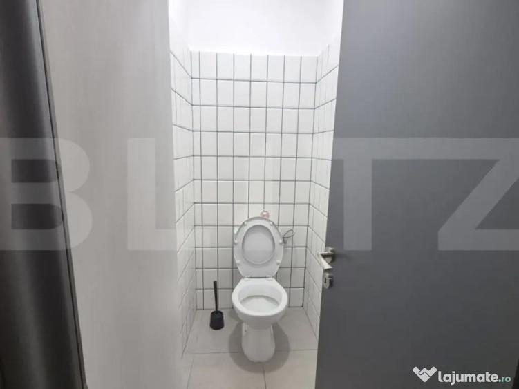 Inchiriere sediu bancar, 284 mp, zona ultracentrala - 18