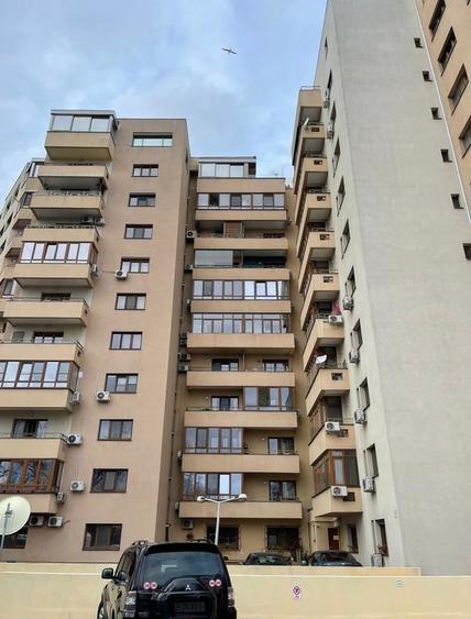 Cutitul de Argint, Parcul Tineretului - 5