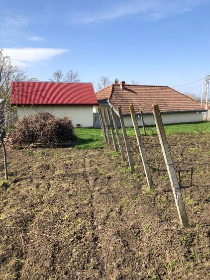 Vand teren intravilan 2000mp belcesti cu utilitati si acte la zi - 8