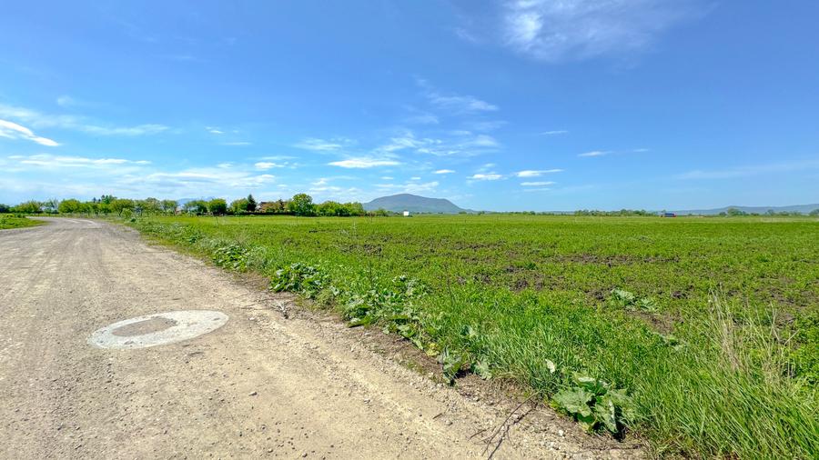 Teren intravilan, 1.7 hectare, Stupini Strada Barsei - 1