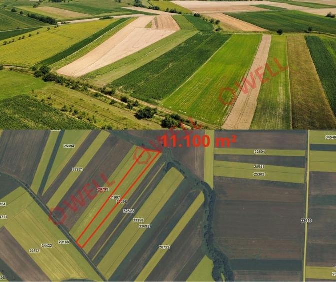 De vânzare 8 parcele de teren extravilan în apropierea localității Măgheruș! - 5