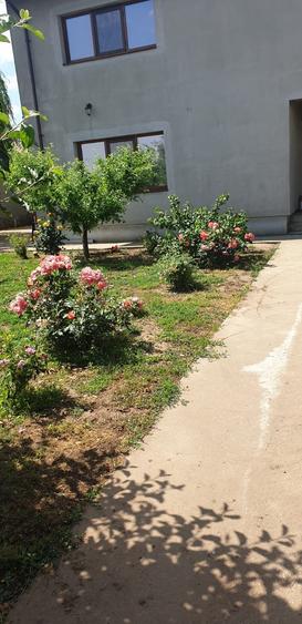 CASA LA CHEIE!!! DIRECT PROPRIETAR - 5