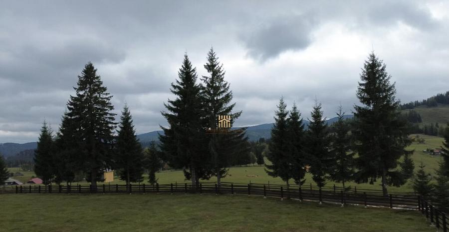 Teren 2804 mp, la munte! In Bucovina Fundu Moldovei! - 12