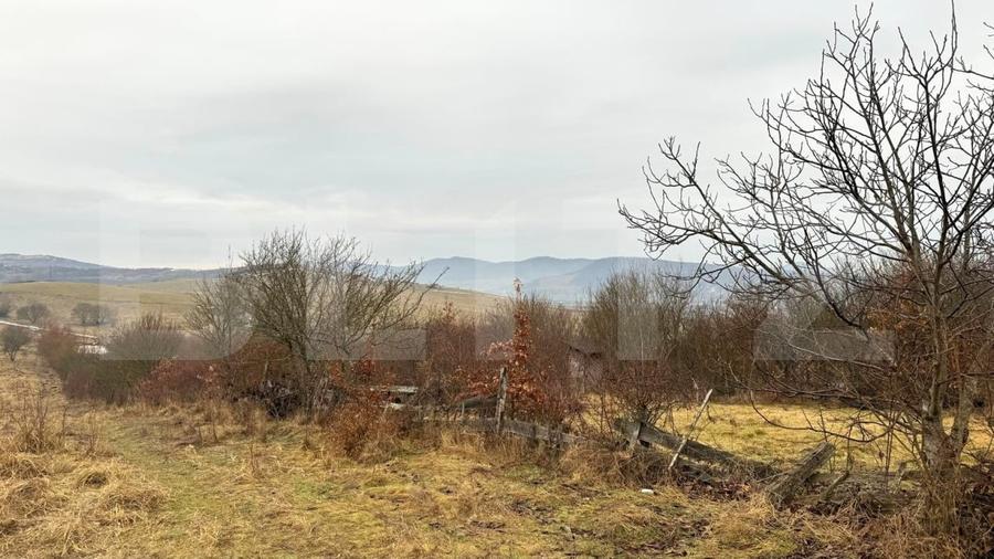Teren Construcții extravilan de 2900 mp, în Sud-Vest