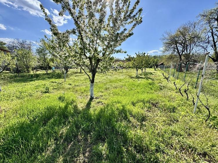 Casă cu 2 camere în Alexeni