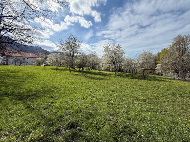 Teren Construcții intravilan de 1355 mp, în Bran