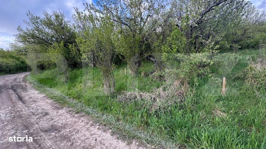 Teren extravilan de vanzare, 2.670 mp, Bistrita - 5