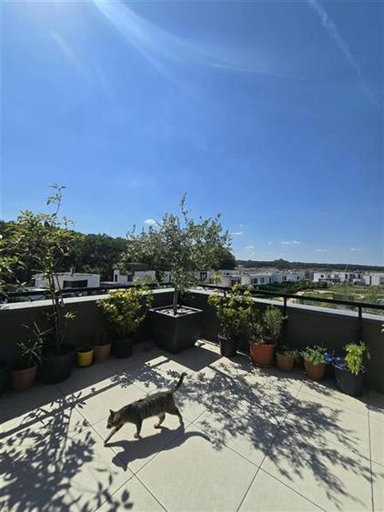 Apartament cu 3 camere decomandat, mobilat în Tunari