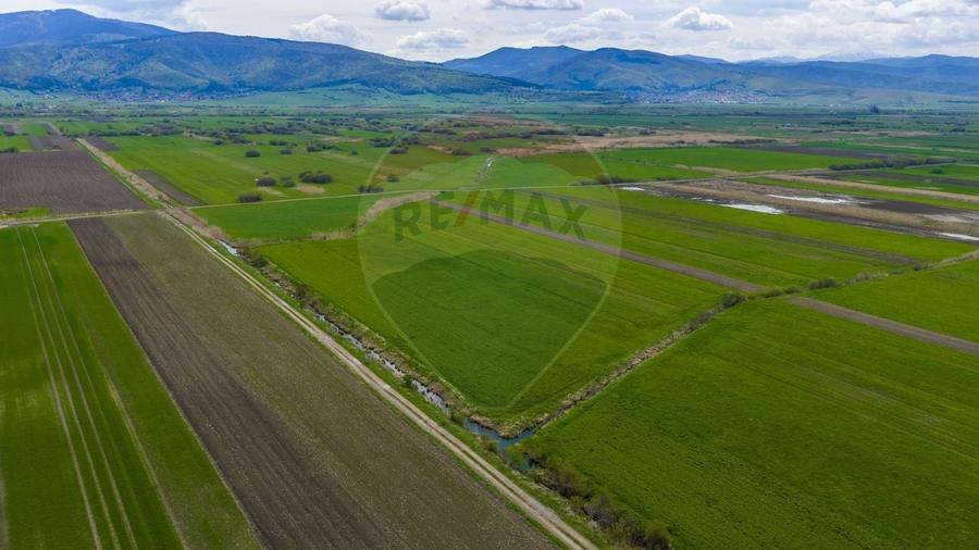 Teren agricol extravilan de 4000 mp, în Stupinii Prejmerului