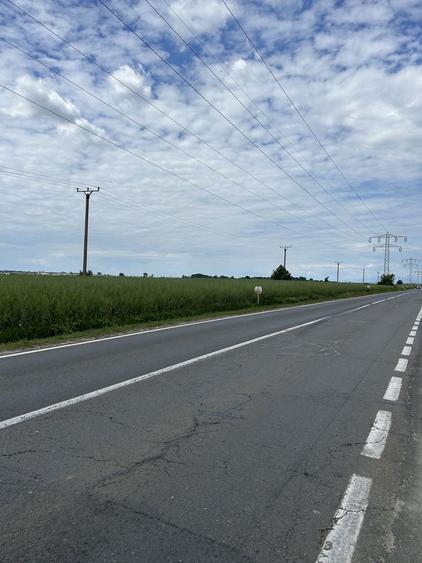 Teren de vanzare-Nucet ( Dambovita ) 17380 MP - 5