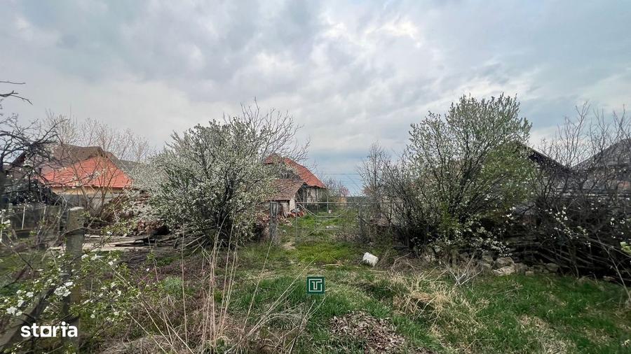 Teren intravilan generos de vanzare in Recas - 5