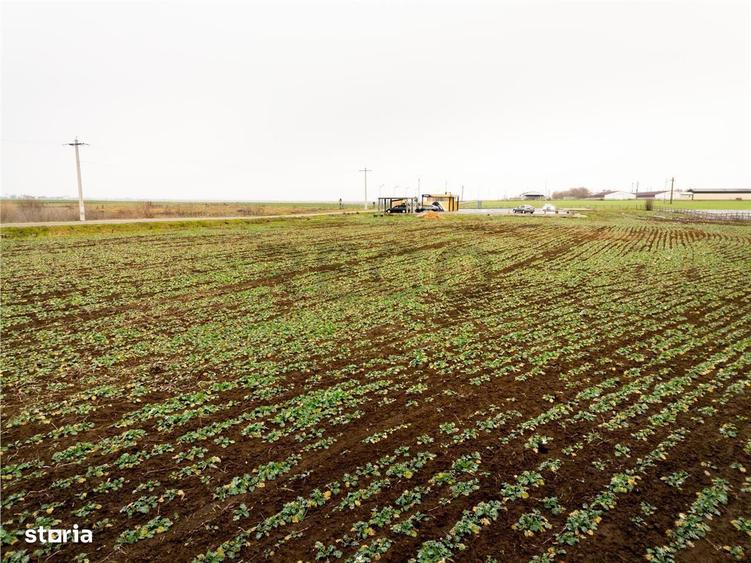 RECO . Teren extravilan 5000mp , 110ml front . - 1