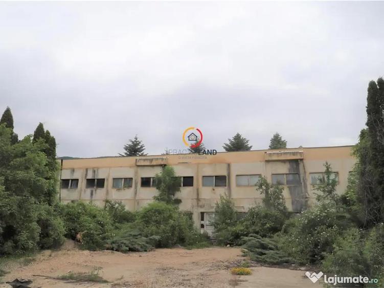 Oportunitate de investitie - 8