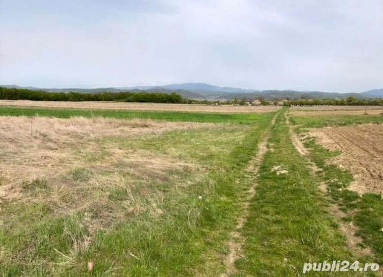 3700 mp Budesti-Piscul Pietrei - 1