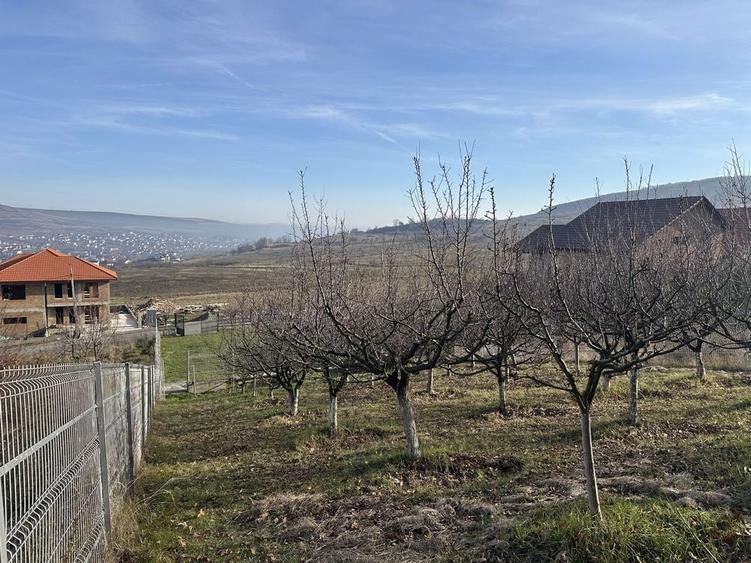 Vand teren intravilan Chinteni - 3