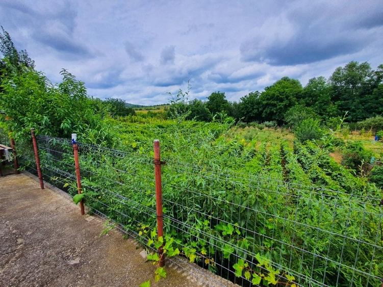 Casă de v&acirc;nzare - Jud. Bacău (Com. Orbeni) - Curte și grădină(30Km/Bc) - 7