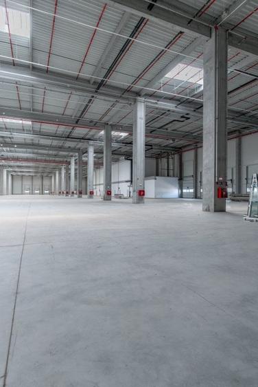 Spațiu industrial, 249500 mp în Chitila - 7