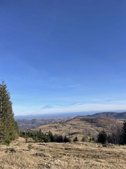 Teren de vanzare - 1