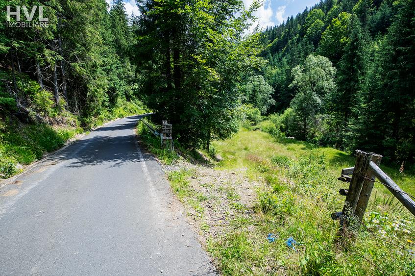 Teren curti constructii in Arieseni - 4