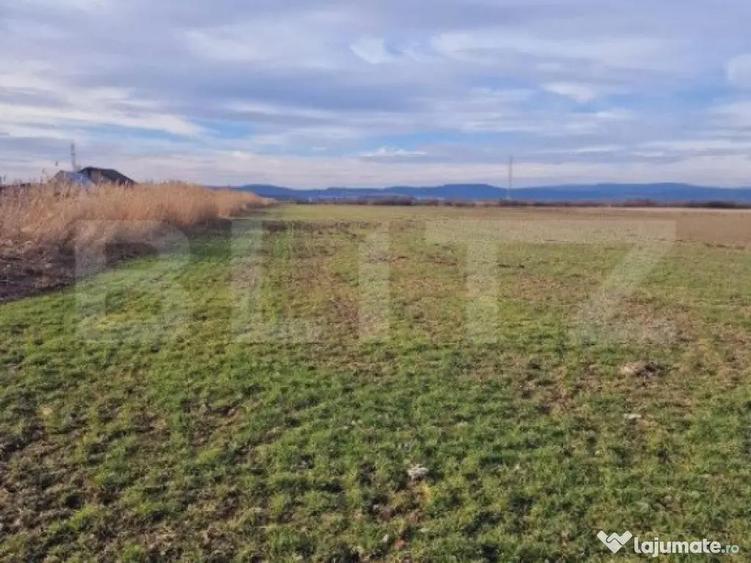 Teren intravilan, 8700mp,Prejmer - 3