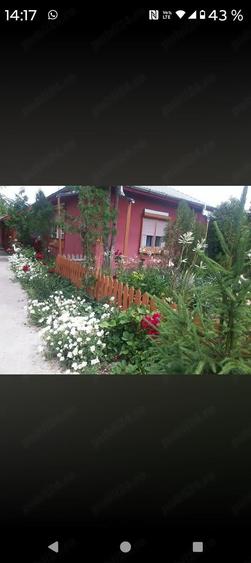 Casa de vanzare. - 9